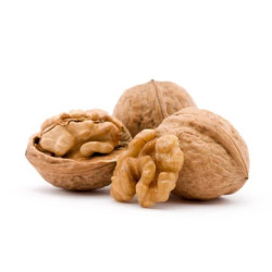 Walnut
