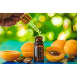 Apricot seeds oil